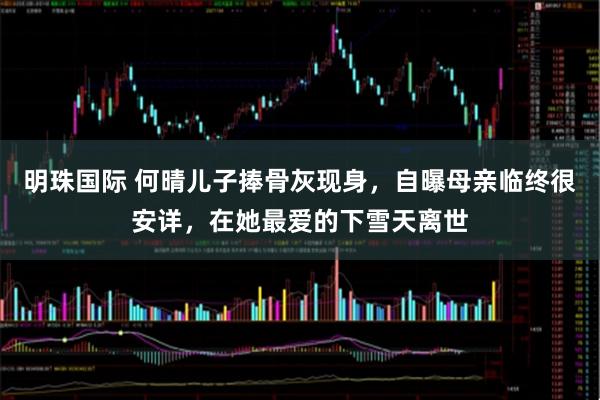 明珠国际 何晴儿子捧骨灰现身，自曝母亲临终很安详，在她最爱的下雪天离世