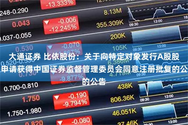 大通证券 比依股份：关于向特定对象发行A股股票申请获得中国证券监督管理委员会同意注册批复的公告