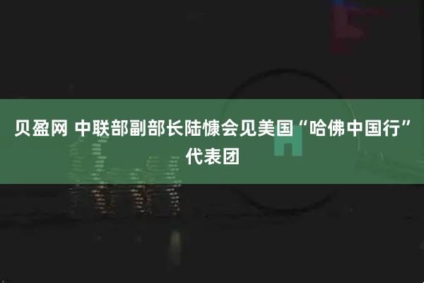 贝盈网 中联部副部长陆慷会见美国“哈佛中国行”代表团